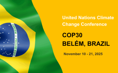 Why Africa’s Voice Matters at COP30